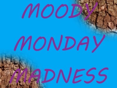 Your Wildest Dreams… Moody Monday Madness